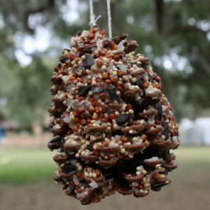 pinecone bird seed feeder craft